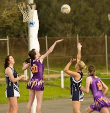 Image result for Wombles Netball Club