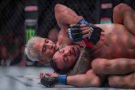 Image result for Blood Sweat and Tears Mixed Martial Arts Academy