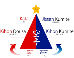 Image result for Taunton Karate Jutsu