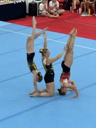 Image result for Basingstoke Gymnastics Club