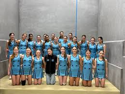 Image result for Thoroughbreds Netball Clubs