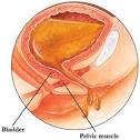 <b>Urinary Incontinence</b>