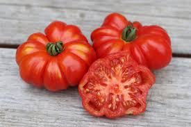 Afbeeldingsresultaat voor costoluto genovese tomato