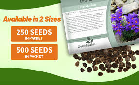 Attēlu rezultāti vaicājumam “Trichia alpina young”