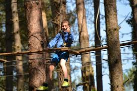 Image result for Go Ape! Moors Valley