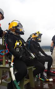Image result for Breakwater Divers