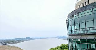 「烏頭みこと」の画像検索結果