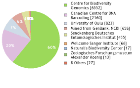 Attēlu rezultāti vaicājumam “Euura acutifoliae”
