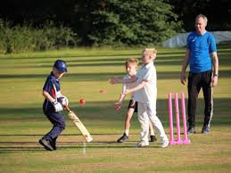 Image result for Warrington Cricket Club