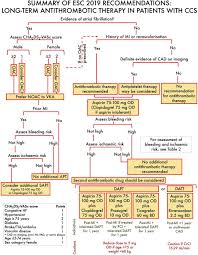 Image result for Hemonetics CCS