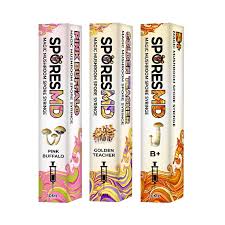 Attēlu rezultāti vaicājumam “Diderma montanum var. album spores”