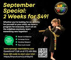 Image result for Synergy Tae Kwon Do