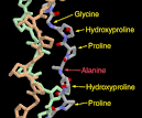 RCSB PDB-
