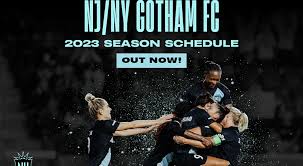 Image result for Gotham Soccer League