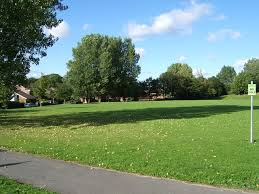 Image result for Whittle and Clayton Cricket Club