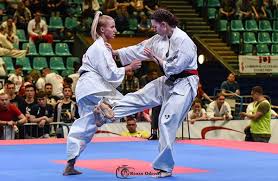 Image result for Kyokushin Karate