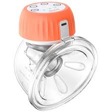 Image result for brust pumpe