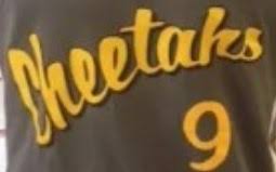 Image result for Cheetahs Softball Team