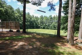 Image result for Reed Cricket Club