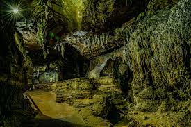 Image result for Yorkshire Subterranean Society