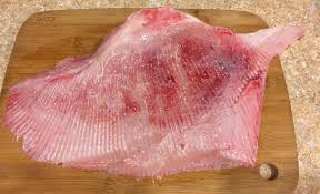 Image result for Dipturus laevis