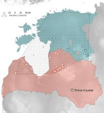 Attēlu rezultāti vaicājumam “Tortula lingulata”