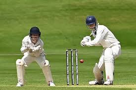 Image result for Corstorphine Cricket Club