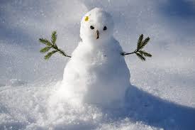 Image result for Schneemann