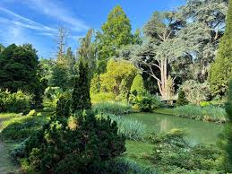 Image result for Arboretum Trompenburg