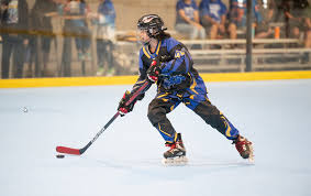 Image result for Walsall Roller Hockey Club