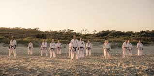 Image result for Redhill Karate Association