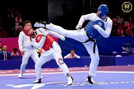 Image result for Taekwondo Athletes Program USA