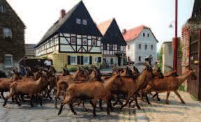 Image result for passivhaus schkortitz