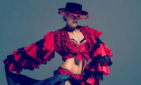Image result for Flamenco Dance School
