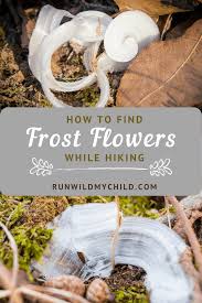 Attēlu rezultāti vaicājumam “Frost Flowers”