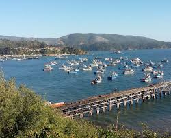 Attēlu rezultāti vaicājumam “Lota lota”