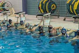 Image result for York Octopush Club