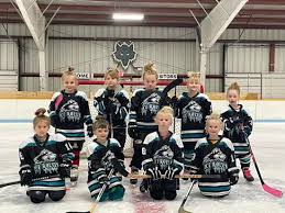 Image result for Streatham Night Wolves Ice Hockey Team