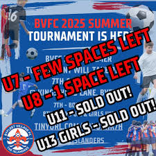 Image result for Byfleet Village Football Club