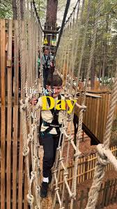 Image result for Go Ape! Moors Valley