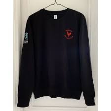 Image result for Fetcham Netball Club