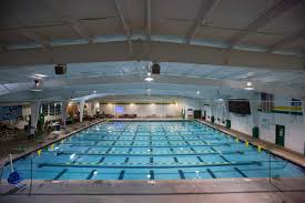 Image result for Romsey and Totton Swimming Club