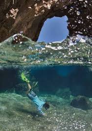 Image result for Falmouth Octopush Club