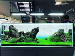 Znalezione obrazy dla zapytania takashi amano%