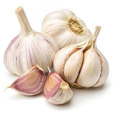 Attēlu rezultāti vaicājumam “Allium sativum fruit”