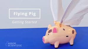 Image result for flying pigs
