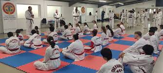 Image result for South Bank Taekwondo