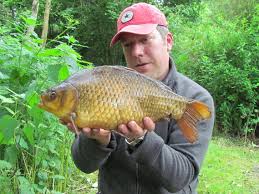Image result for Runnymede Angling Association