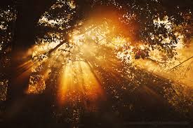 Image result for Leek Park B C