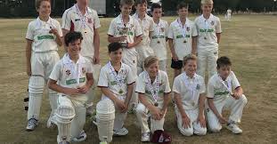 Image result for South Wilts Cricket Club
